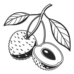 Black and white illustration of lychee isolated on white background, showcasing its tropical sweetness and exotic appeal, perfect for healthy eating and gourmet food designs