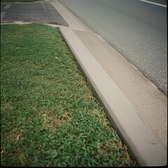 pathway in the park