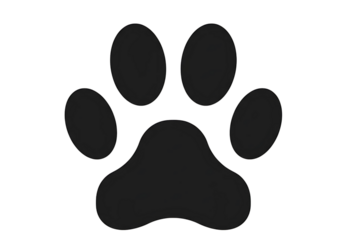Black paw print symbol isolated on transparent background
