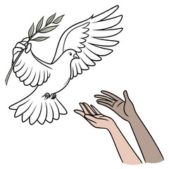 A white dove with an olive branch flies towards two open hands representing hope and peace for all people