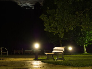 Park Bench and Tree at Night