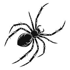 Detailed spider illustration isolated on white background, ideal for halloween projects, nature studies, or adding a creepy touch to your designs