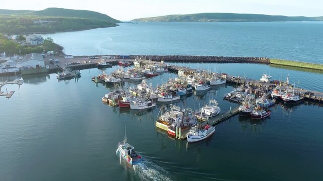Aerial view of a harbor with boats in newfoundland, canada on a sunny day