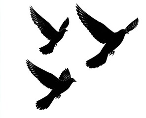 Obraz premium Three silhouette doves in flight against a white background