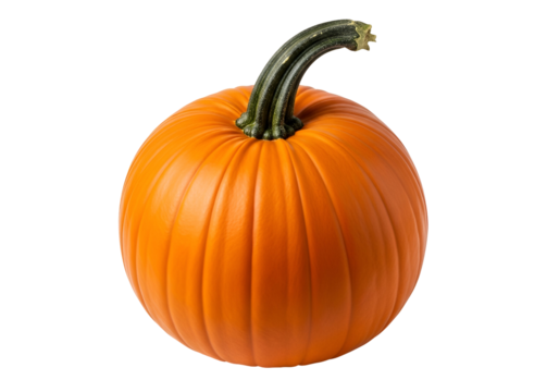 Bright orange pumpkin with a curved green stem isolated on black background