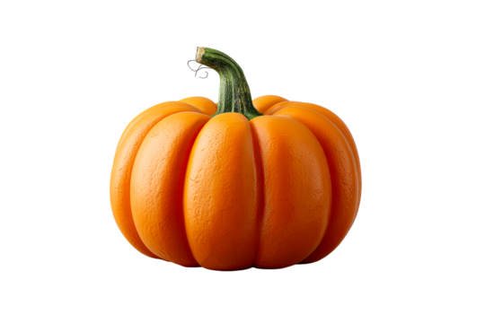 Orange pumpkin with green stem and curled vine on white background