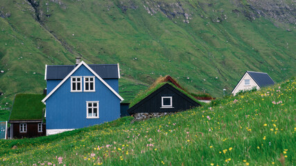 Obraz premium Vibrant blue and black houses stand out against lush green landscapes in the Faroe Islands, showcasing classic architecture amidst stunning nature. Elduvik Village
