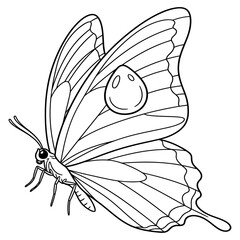 Butterfly with a Water Droplet: A butterfly with a single, large raindrop on its wing.