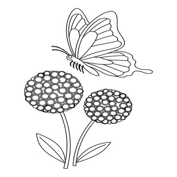 utterfly in the Garden: A butterfly flying over two simple, round flowers.