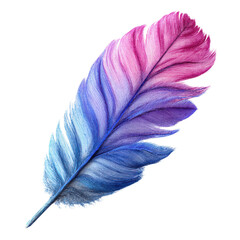 Vibrant Gradient Feather with Pink Blue and Purple Hues on Black Background quill bird feather, Isolated On White, Png Transparent, Cut Out