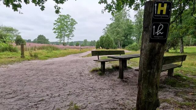 The B&uuml;senbachtal in the L&uuml;neburg Heath
