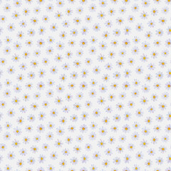 Watercolor chamomile flowers. Beautiful floral seamless pattern