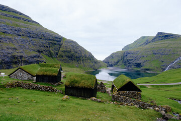 Nestled in the picturesque valleys of the Faroe Islands, traditional grass-roofed houses blend...