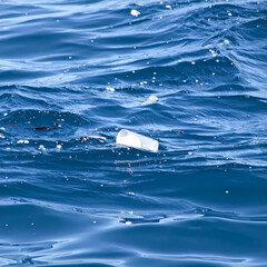 Plastic bottle ocean pollution