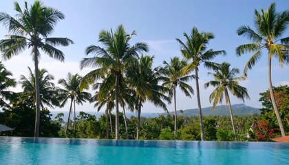 Fototapeta premium Infinity pool, palms, tropical, water, sky, landscape, horizon, sun, relaxation, vacation, luxury, resort, summer, reflection, blue, serene, exotic, nature, tranquility, leisure, scenic, beauty, escap