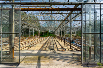 Abandoned greenhouse with metal framework, empty crop rows, and rusty pipes, view from entrance into building, overgrown vegetation visible in the background.