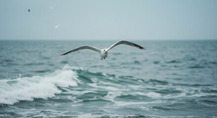 A bird flying over the ocean with a bird in the background showing a seagull flying above foamy ocean waves