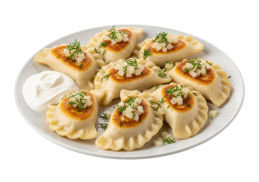 Delicious homemade dumplings served with sauce and fresh herbs on a white plate against a black