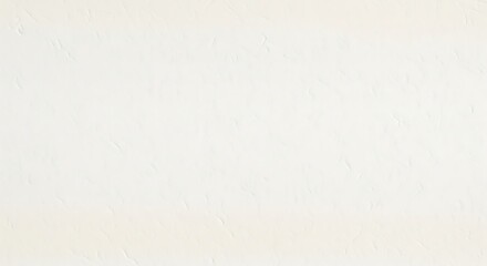 Fototapeta premium White Textured Surface Background