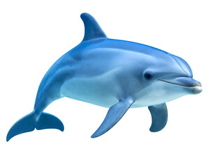 Fototapeta premium “Smiling Dolphin Swimming Underwater, isolated on transparent background”.