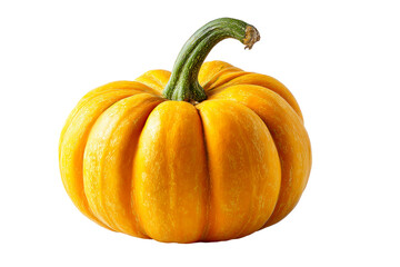 Round Orange Pumpkin with Green Stem on White Isolated Background
