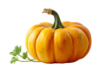 Bright orange pumpkin with green stem and leaf