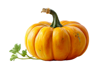 Bright orange pumpkin with green stem and leaf