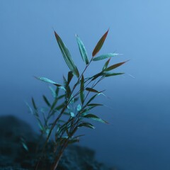 Fototapeta premium Gentle rain residue on bamboo leaves, fog drifting behind