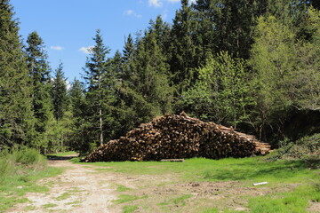 Tas de bois Prélager