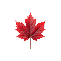 Vibrant Red Maple Leaf A Symbol of Canada Against a Clean White Background