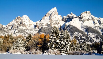 Snowy mountain peaks with autumn trees
