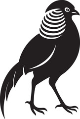 Pheasant bird silhouette black and white, Elegant pheasant bird vector illustration
