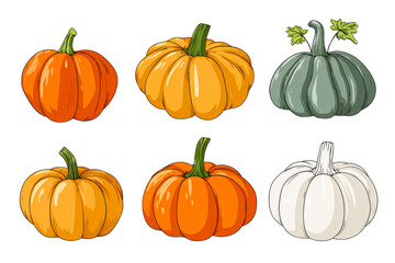 Pumpkins on a transparent background