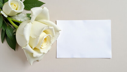 Funeral Invitation Card Template featuring white rose on beige background; Funeral Invitation Card Template including white rose and blank card symbolize sympathy and remembrance.