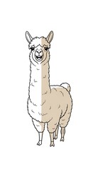 Fototapeta premium Cute llama illustration in outlined style.