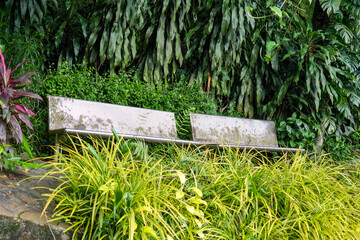 A quiet, empty bench sits amidst lush, vibrant tropical foliage and dense greenery, offering a...