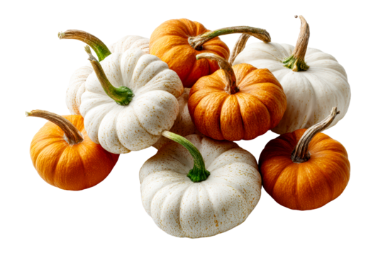 Colorful assortment of pumpkins for autumn display