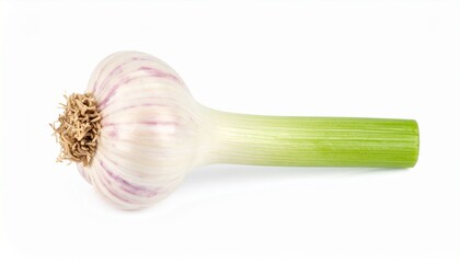 Garlic bulb isolated on white background cutout