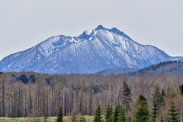 The beautiful view of Mt.Sapporo from The Hill Of the Buddha and Moai statues