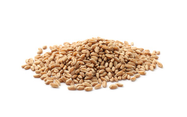 Fototapeta premium Pile of ripe wheat grains isolated on white