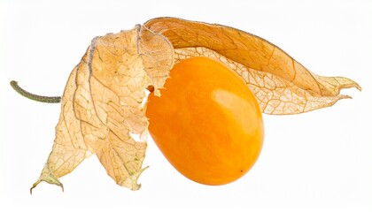 Cape gooseberry, physalis isolated on white background, clipping path, full depth