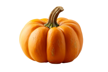 Fresh pumpkin on clear background