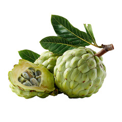 Fototapeta premium Golden custard brings comfort and joy