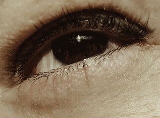 Close-up of a Human Eye in Sepia Tone