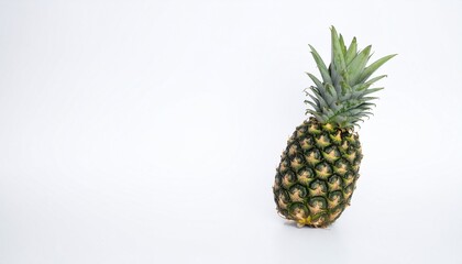 Isolated pineapple. Fresh pieces of unpeeled pineapple fruit isolated on white background