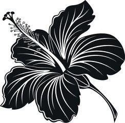 Vector art of black silhouette of a hibiscus flower isolated on white background