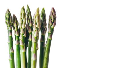 Fresh vibrant green asparagus stalks with delicate purple tips, perfect for healthy eating inspiration isolated on white background