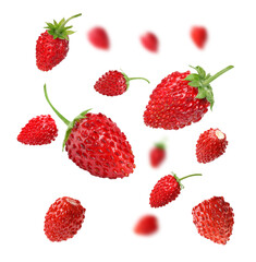 Fresh ripe wild strawberries in air against white background