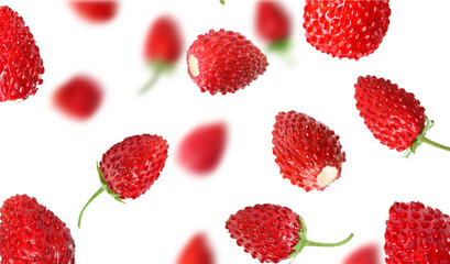 Fresh ripe wild strawberries in air against white background