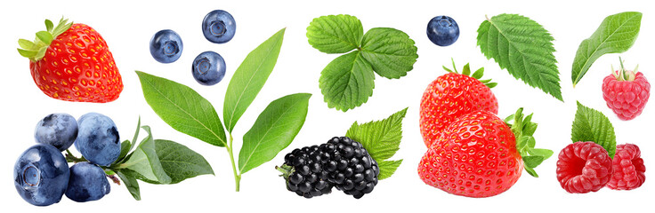 Various berries and green leaves isolated on white, set